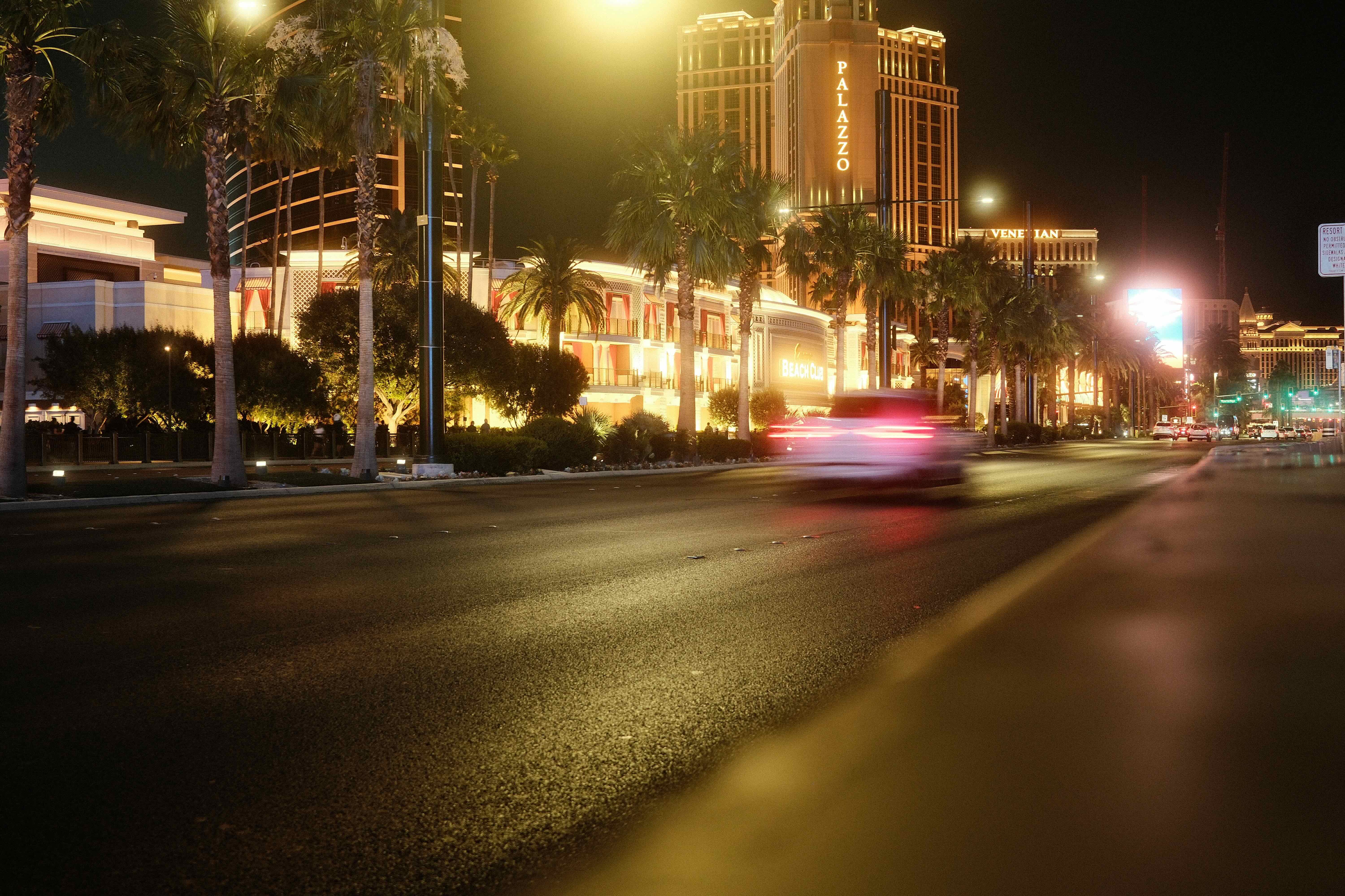 Night street with palm trees and warm lights
